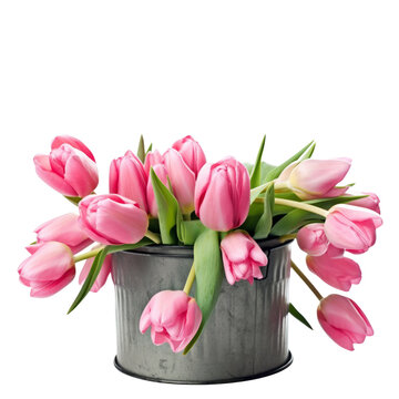 Pink tulips in vase isolated on transparent background. Mothers day gift. PNG, Generative AI 
