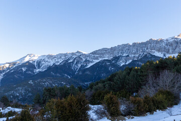 Sunset in some snowy mountains surrounded by pine forests