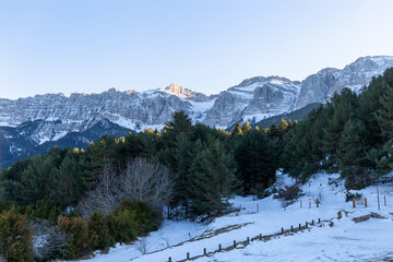 Sunset in some snowy mountains surrounded by pine forests