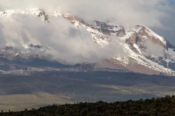 Photo sur Plexiglas Kilimandjaro Mount Kilimanjaro seen through clouds with foreground bush