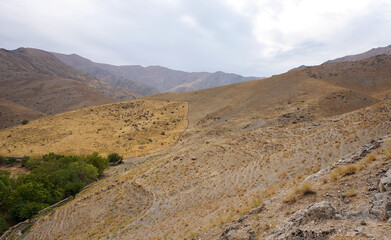 Arid steppes in Central Asia