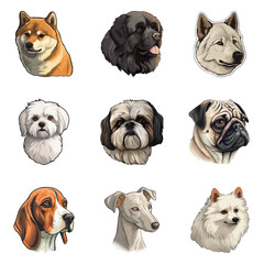 Dogs Flat Icon Set Isolated On White Background