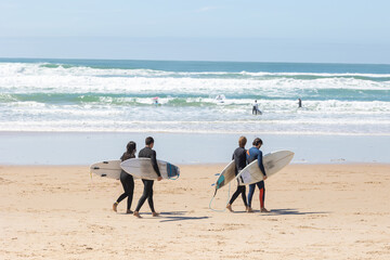 Four surfers walk along the beach to the sea holding boards