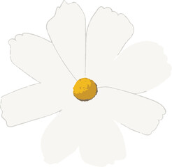 Daisy Flower