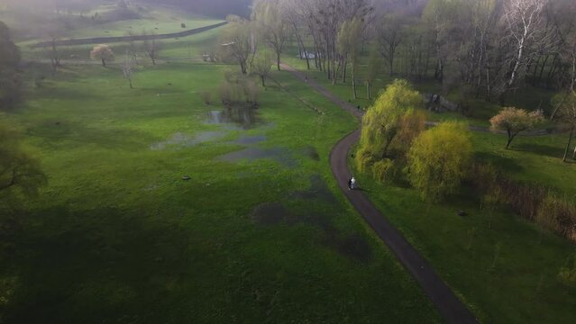 Spring morning in the park, aerial view