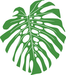 Green Monstera Leaf Vector 