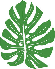 Green Monstera Leaf Vector 