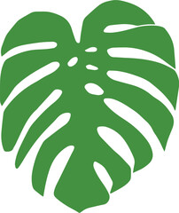 Green Monstera Leaf Vector 