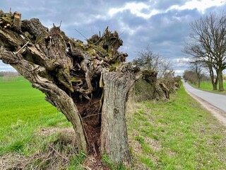 Stopover on the way to the sea