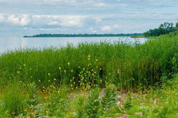 The Bay Of Green Bay Shoreline After A Summer Storm