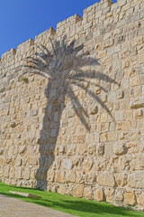 City walls with palm tree shadow in Jerusalem Israel