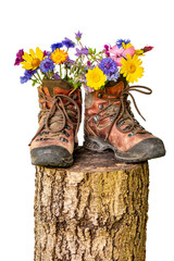 hiking boots with flowers stand on a tree trunk
