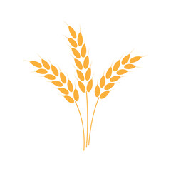 Wheat ear vector illustration isolated on white background.