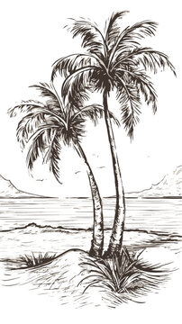 Vintage Palm Tree Drawing Hand Drawn Vector Editable