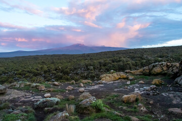 Mount Kilimanjaro with dramatic sunset in pink and purple sky