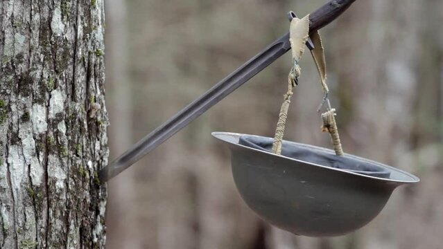 Vintage Brodie army helmet hanging on bayonet