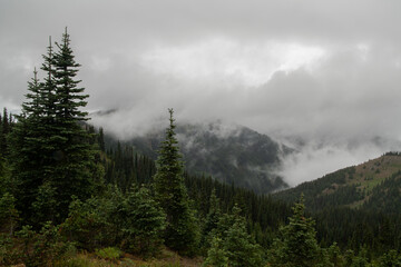 Mountain view in Pacific Northwest
