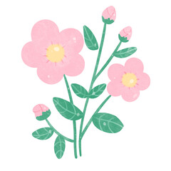 Fototapeta na wymiar Flower watercolor icon png