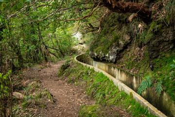 Madeira typical walking and hiking patch. Levada do Furado, one the most popular Levada tours on Madeira Island. From Ribeiro Frio to Portela. Portugal.  