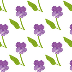 Seamless pattern with forest viola on a white background. Vector image.
