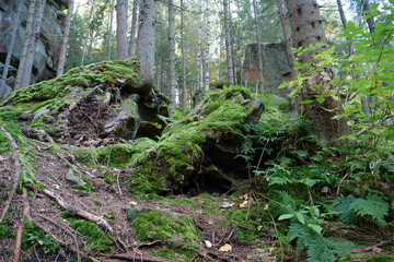 Dovbush Rocks in the forest near Yaremche city, Ukraine