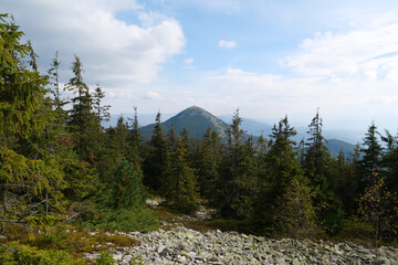 Fototapeta na wymiar Gorgany - mountain range in Western Ukraine. View to Hamster mount