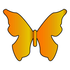 butterfly