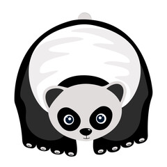 Panda vector illustration