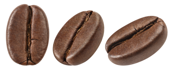 Set of delicious coffee beans close-up, cut out
