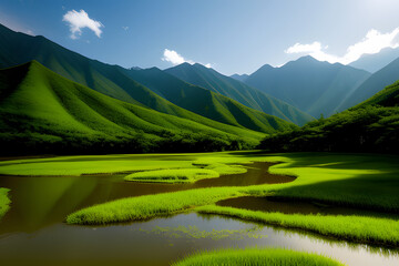Wetland in valley with mountain background at Shangri La, China