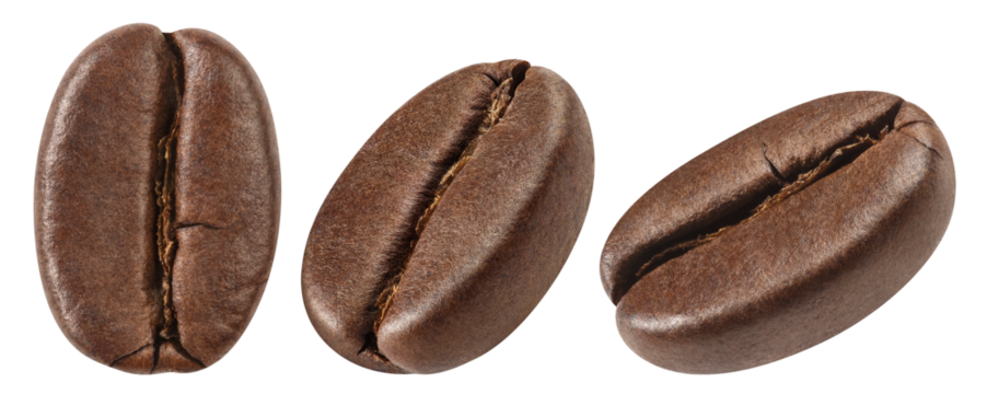 Set of delicious coffee beans close-up, cut out