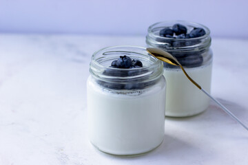 Homemade yogurt with blueberries. Yogurt in jars on a white background