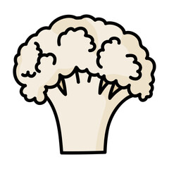 太い線で描かれたカットイラスト / カットしたカリフラワー