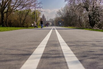 droga rowerowa i droga dla pieszych w parku © FotoWave Dawid Nowak