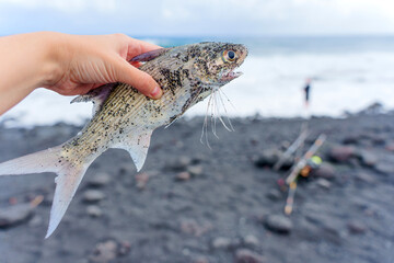 Ocean's Bounty: Hand Holding Freshly Caught Fish