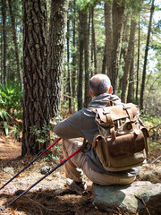 Naklejka premium Middle-aged man sitting on a rock with walking sticks and a backpack in a Mediterranean forest.