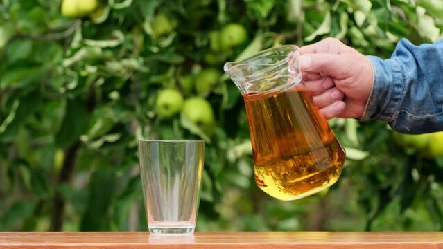 Apple juice on a wooden table in the garden, around it are apples. Farmer taking a jug and pour fresh juice into glass from the apple orchard. Pouring apple juice into a glass in a summer day outdoors