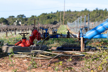 Pompes pour l' arrosage des vignes
