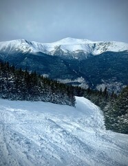 Mountain Washington framed up from Wildcat Mountain trail - White Mountains