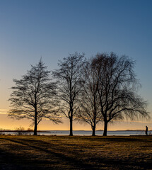 Naklejka premium sunset in the winter