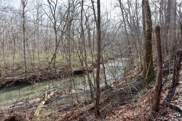 The flowing creek though the branches in the woods.
