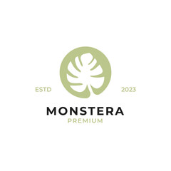 Vector monstera leaf logo design concept illustration idea © Brandingasik