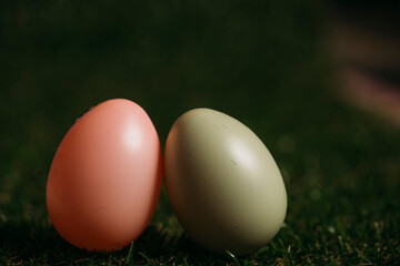 easter eggs in grass