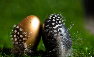 easter egg in a nest
