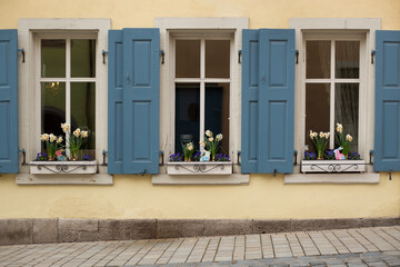 Wohnhaus mit geöffneten blauen Fensterladen mit blühenden Pflanzen auf sauberen Fensterbänken bei Tageslicht