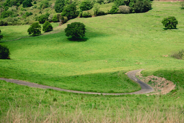 A landscape with a green meadow and a road smoothly passing between the hills. A view of the valley in spring or summer