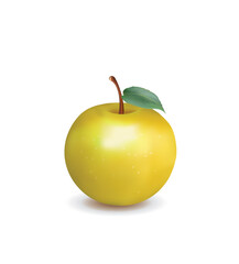 Yellow apple on white background, realistic vector