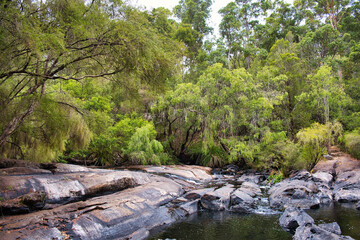 Stream flowing over bare rocks: the Lefroy Brook in the karri forest of Gloucester National Park...