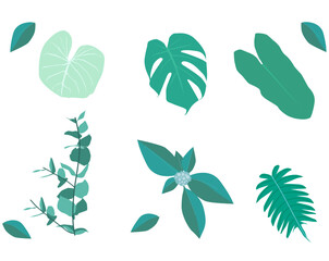Tropical Plants is a simple and minimalist set bundle graphic design resource with solid white background 