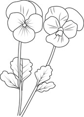 Cute kids coloring pages, easy pansy flower drawing, pansy flower black and white illustration, pansy flower outline, pansy flower vector art, simple flower drawing, unique flower coloring page.